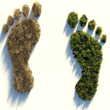 carbon-footprint-reduction